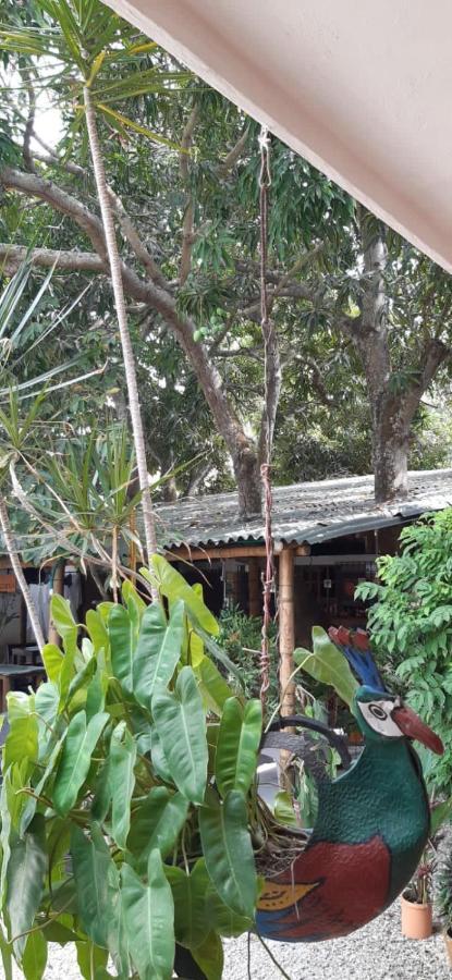 Hotel Pizzeria Opera Tolu Luaran gambar