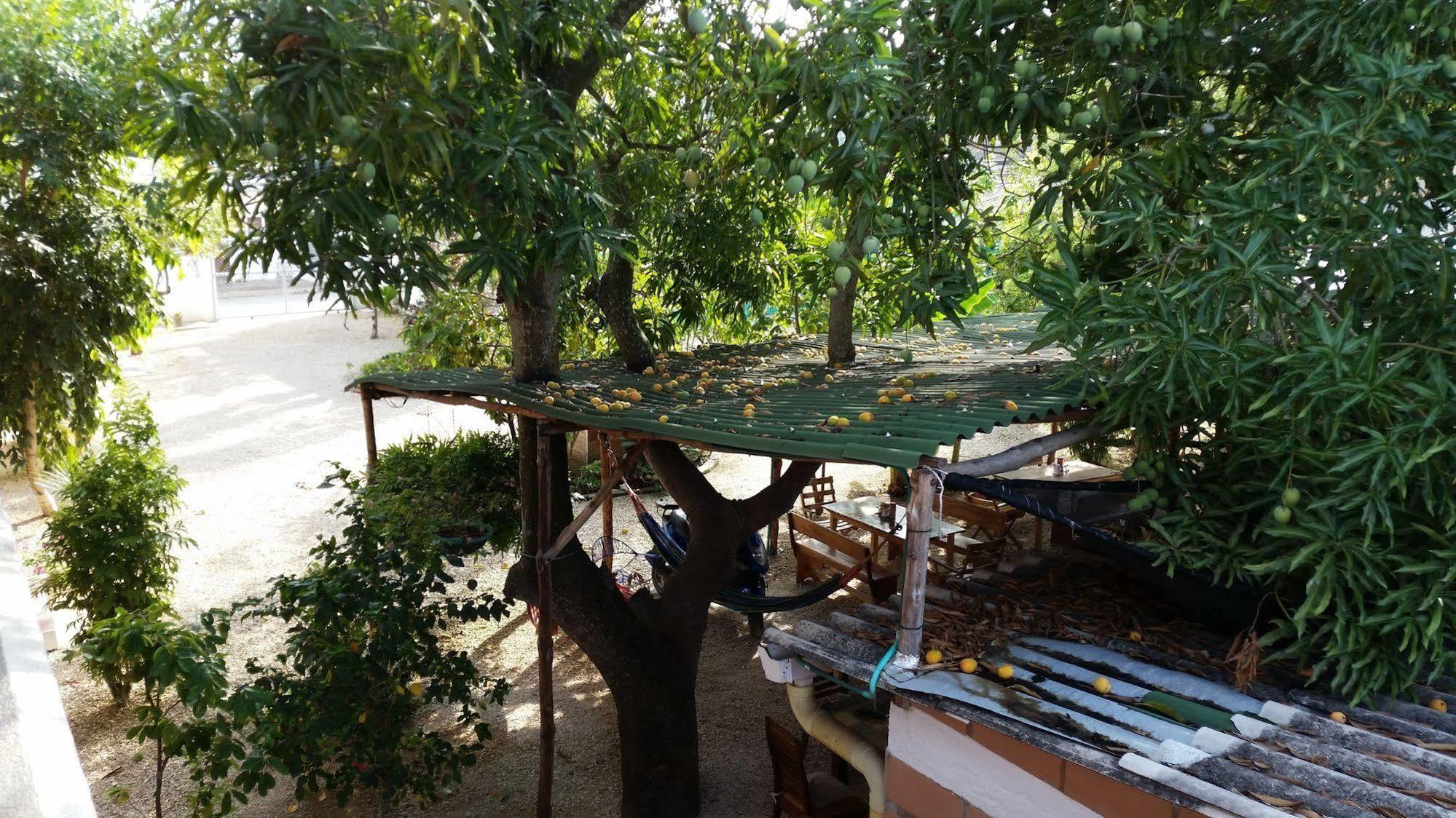 Hotel Pizzeria Opera Tolu Luaran gambar